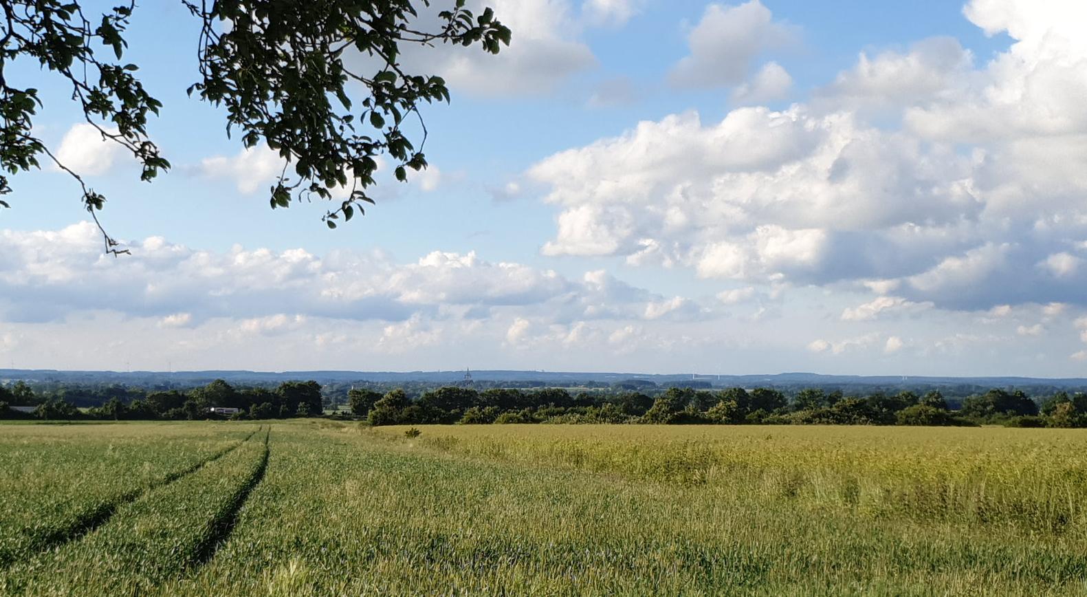 "Blick von Epsingsen ins Münsterland"